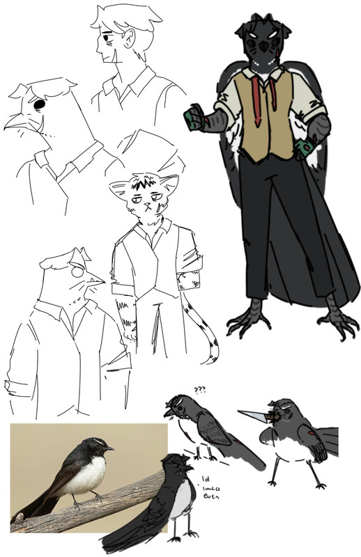 various drawings of Raz as a furry, one as a cat and multiple as a Willie Wagtail bird, and a few of just the bird with some of Razs features, and one actual photo of the bird