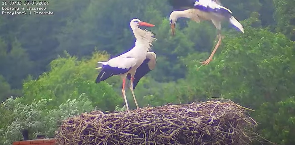 noigdziesiepodziewasz