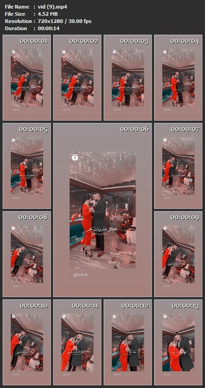 vid (9).mp4