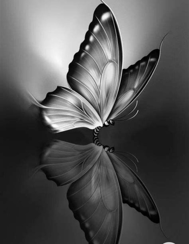 Screenshot_20230102_152243_Chrome