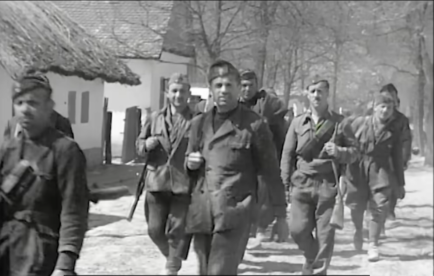 [Слика: Screenshot-1.png]