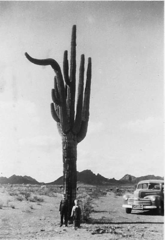 BB514BE1-C738-4426-B903-E3AE0D93F6A2