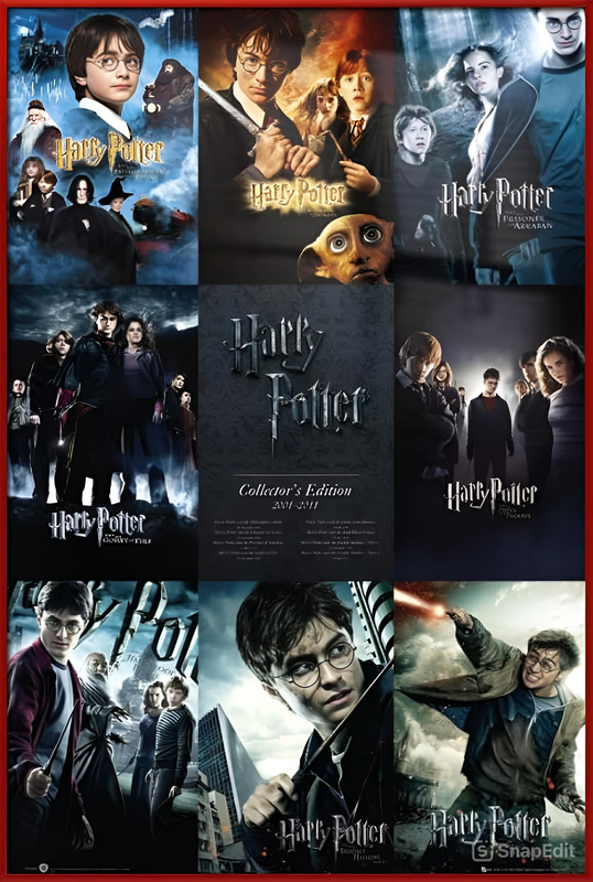 Harry-Potter-2001-2011-NM21.png