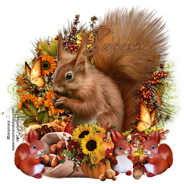 Autumn-Squirrel