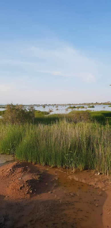 petaloudes5