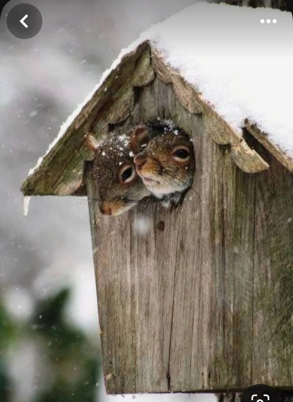 Screenshot_20231221_224327_Pinterest