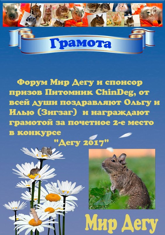 2 место