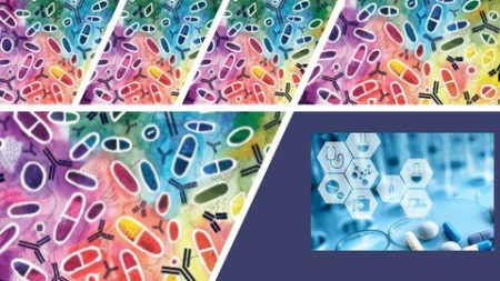 Preformulation Studies For Pharmaceutical Industry