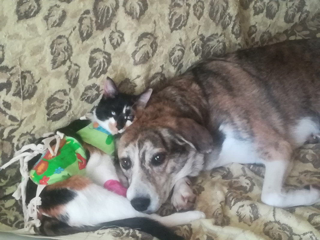 viber image 2019-03-03 , 16.36.59