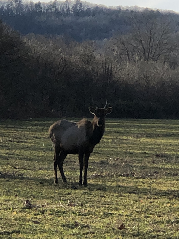 D18E41B0-BEDB-427F-B0E6-6211231318FA