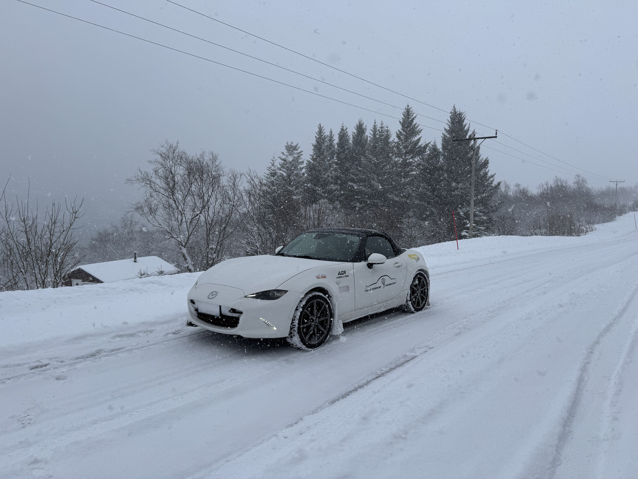 [Immagine: IMG-9111.jpg]