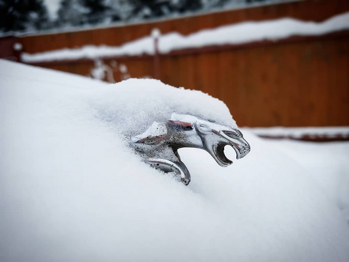 46761108_1999333576822711_5935131954024732845_n