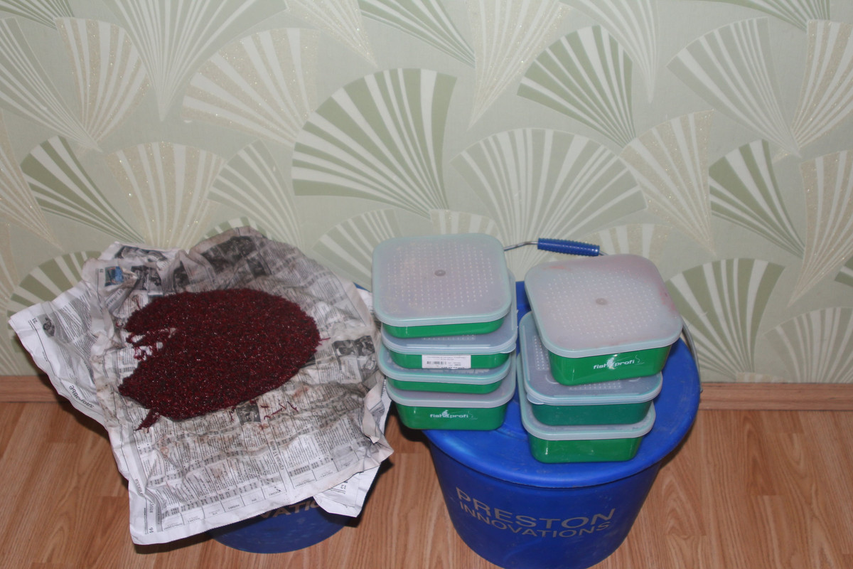 IMG_8959_новый размер