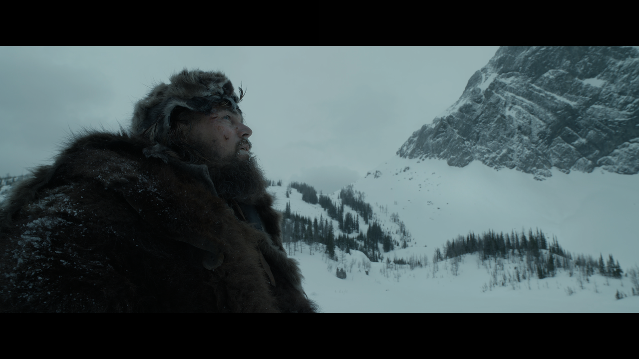 The.Revenant.2015.2160p.UHD.BDRemux.TrueHD.Atmos.HDR.DoVi.Hybrid.P8.by.DVT.mkv_snapshot_02.12.06_[20