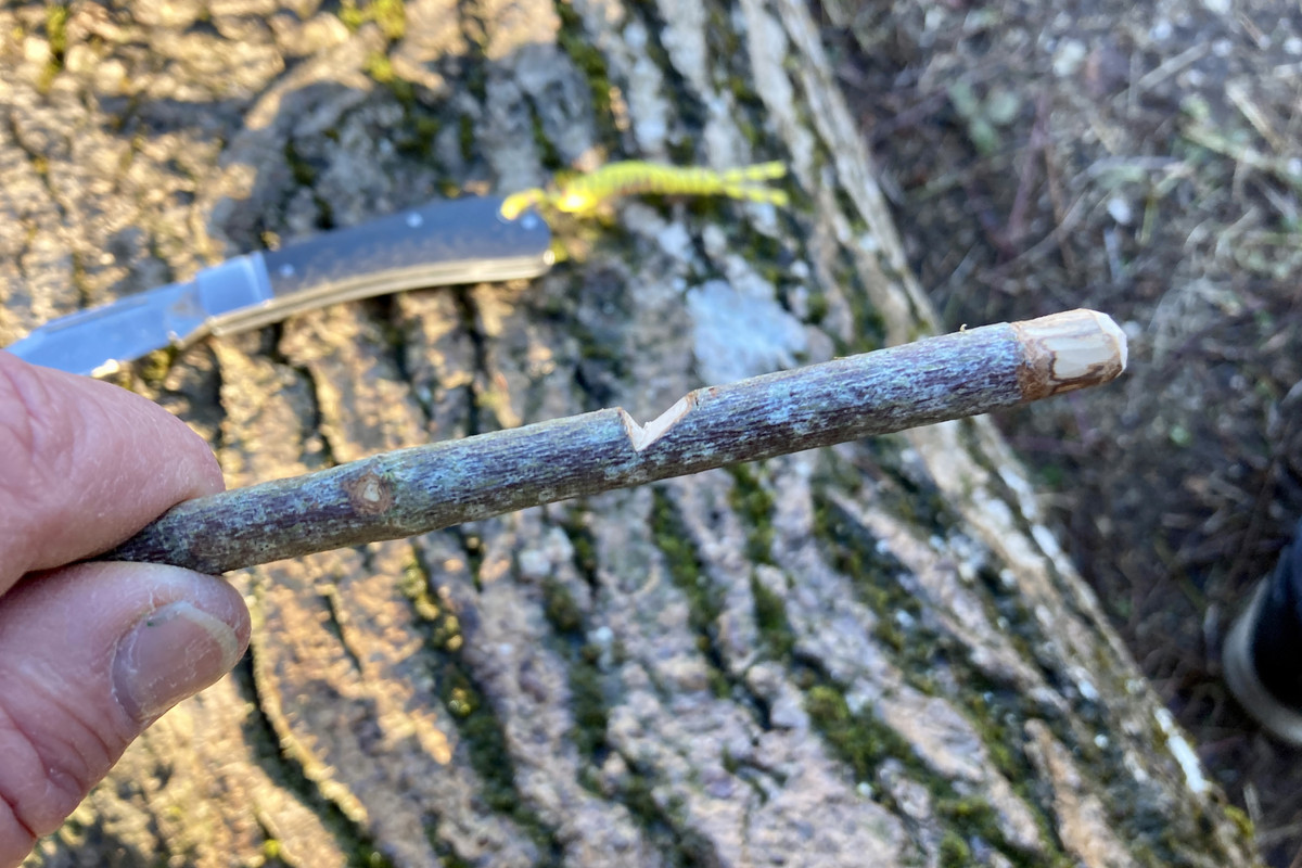 A82EF386-4319-482B-9A96-E64B3FA6CE90