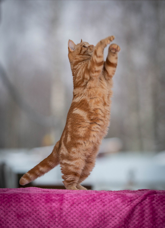 --------------.... (1 из 1)