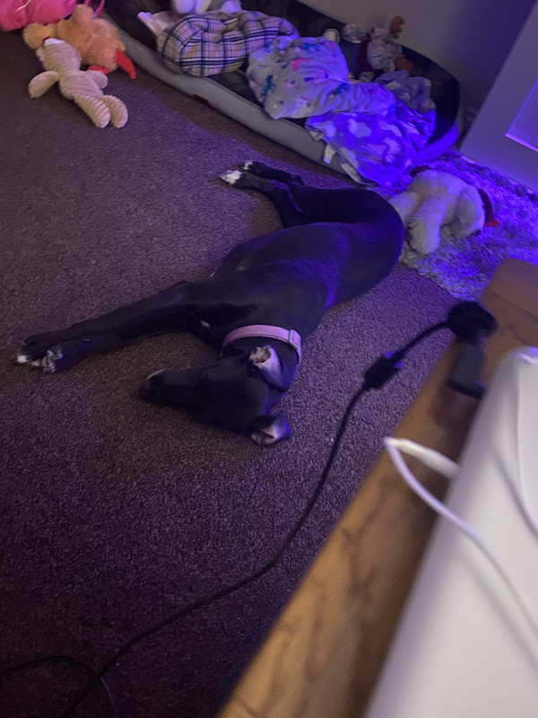 11946C77-F196-4F72-BC32-56EE05ED2D06