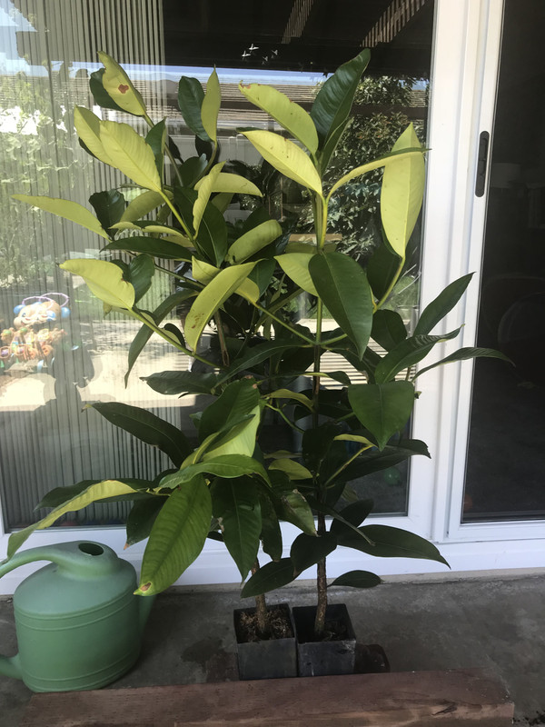 690F9C08-2FC0-4C8C-9D6E-F21EFB25CFDE