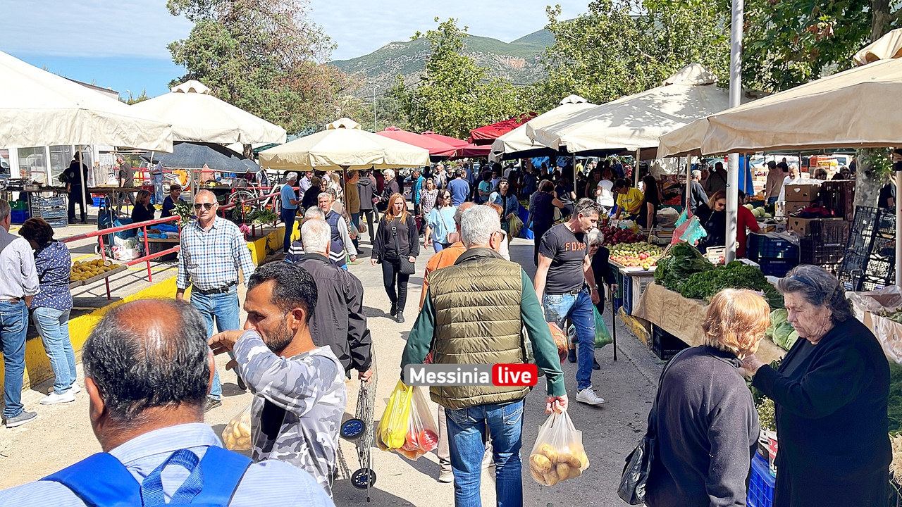 ΑΛΕΞΗΣimage00003