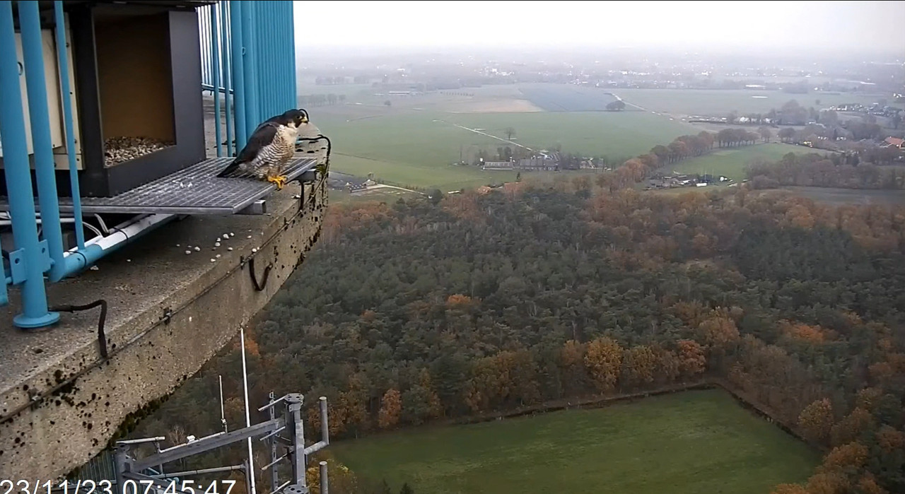 screenshots va 2 november 2023 © VWGGemert - Pagina 5 2023-11-23-075605