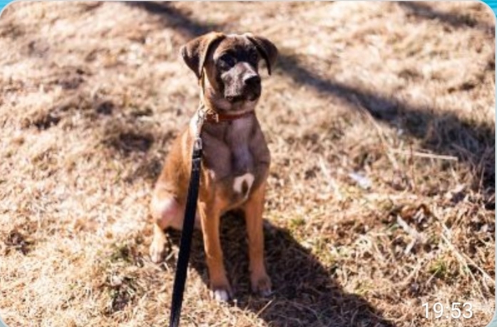 IMG-0f9d541e187f5ac3907f467a7a14e2fa-V