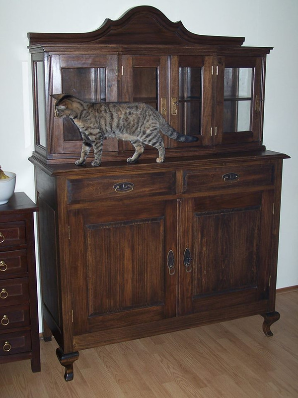 1546318_696951263753655_1973718253843162181_n