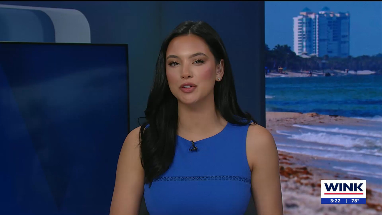04.05 - 20.00.01 - WINK News at 3pm.   Category  News.      EPG Credi....ts_snapshot_00.23.50.274