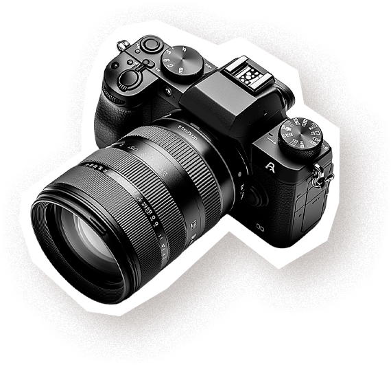 Camera Decor
