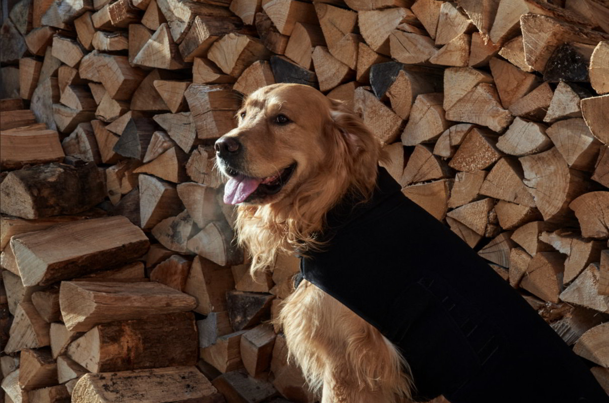 Vacanza Pet Friendly: Travel Kit per andare al Mare, in Montagna e in Città