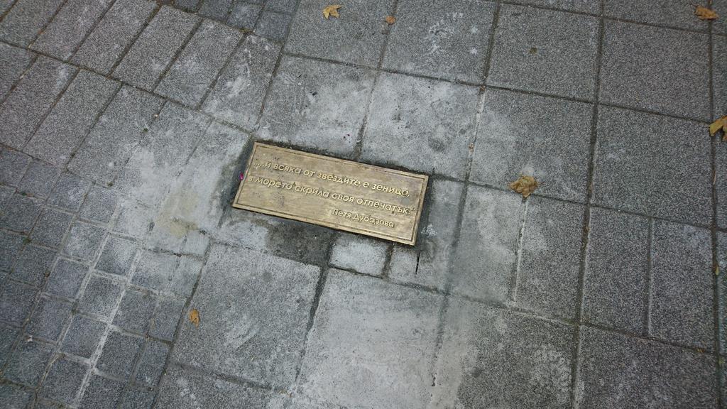 DSC-1855.jpg