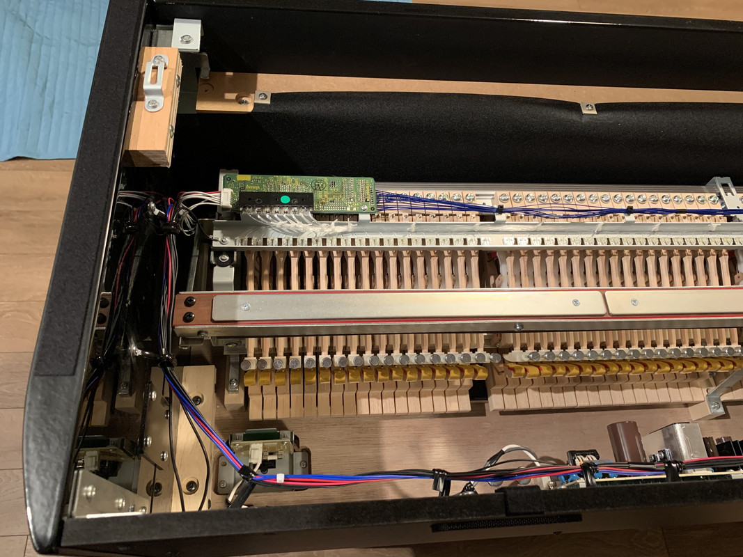 51E1D5CF-A96B-4410-8891-A68582052CCC