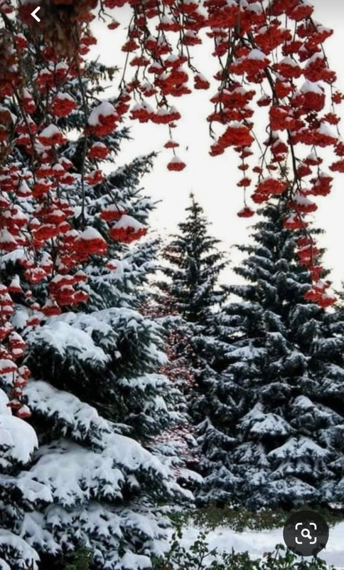 Screenshot_20231101_221639_Pinterest