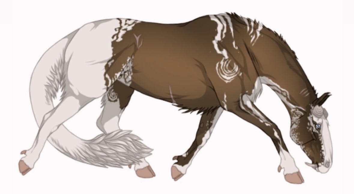 equine-full.jpg