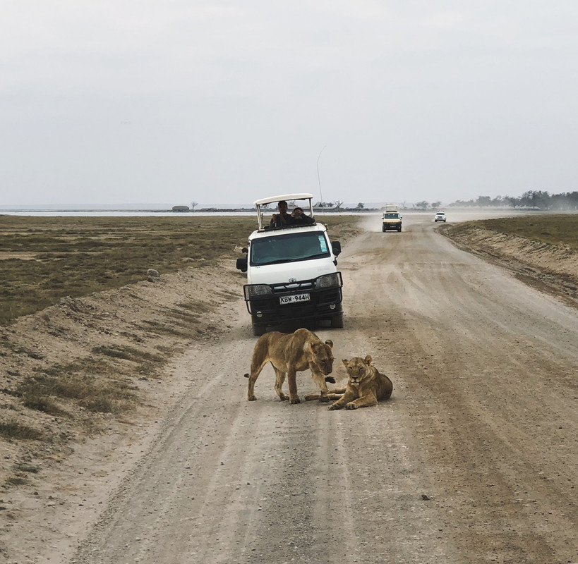 6B27ACD1-6F85-4DC7-A6BC-AAECA4B6B3FE