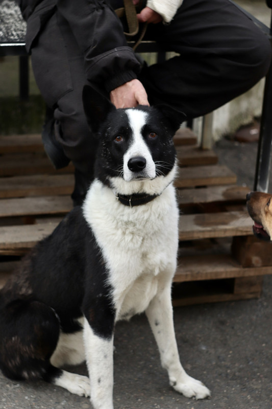 A149BC72-D4FE-4154-BB5F-75389FE22331