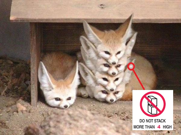 stacked-foxes-with-warning2.jpg