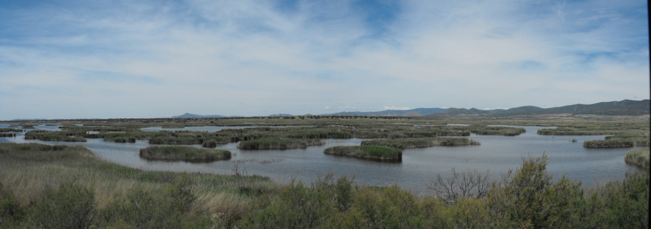 Tablas-de-Daimiel-01