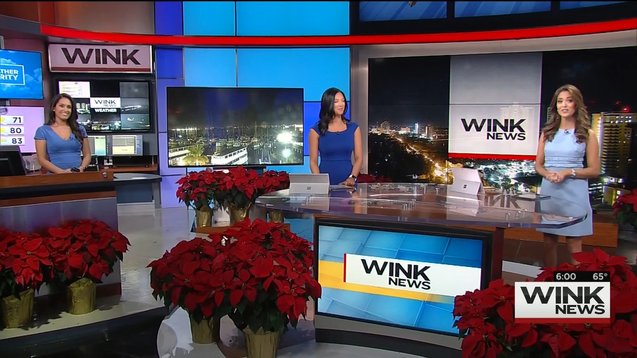 11.28 - 11.00.00 - WINK News This Morning..ts_snapshot_01.20.904