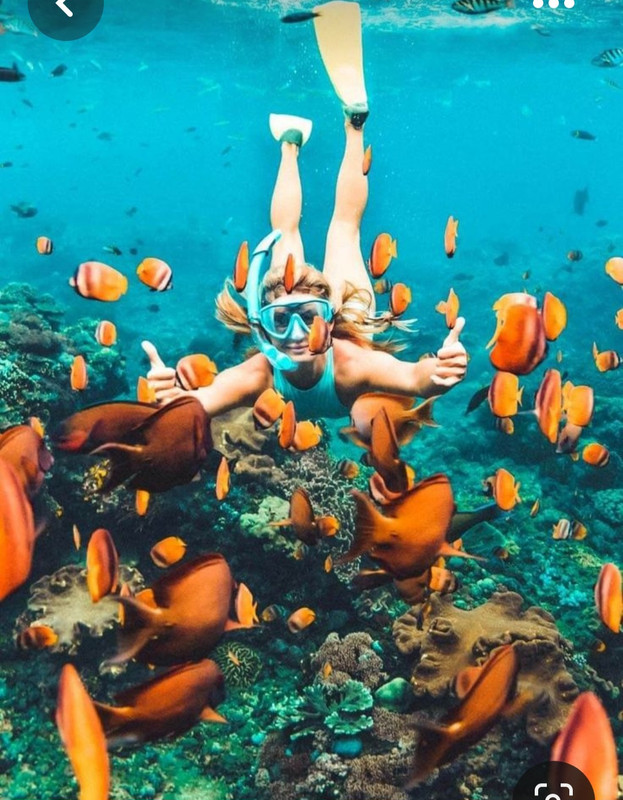 Screenshot_20230514_125013_Pinterest