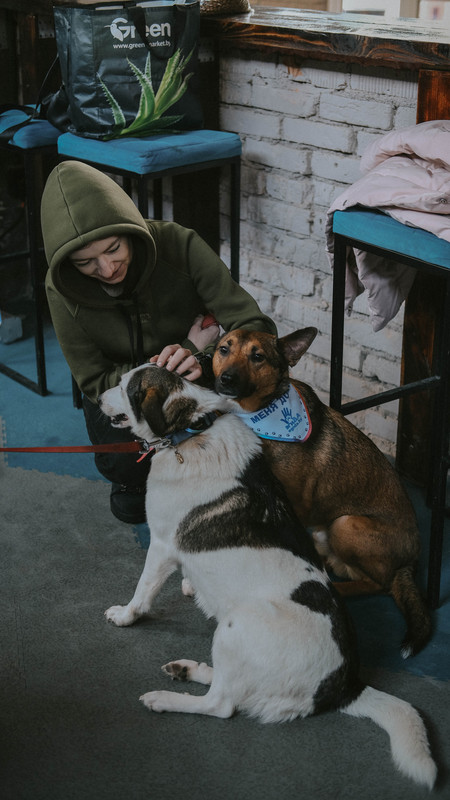 51492EF4-12C0-4D9A-8A76-6F792D2BDF8C