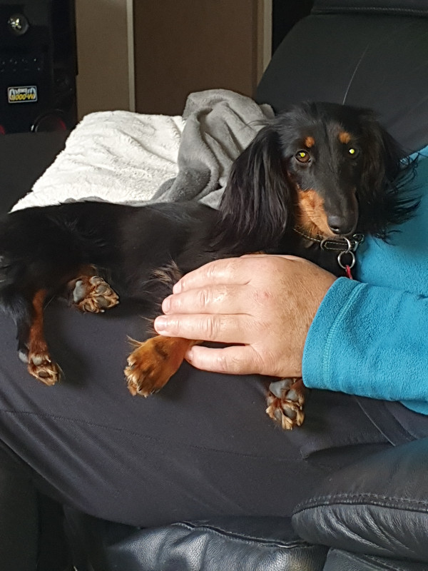 [Image: IMG-20231214-162642.jpg]