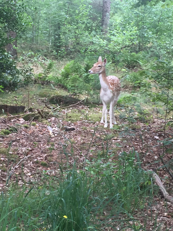 949F8485-E37C-4434-BE9D-469DD0DCA4CB