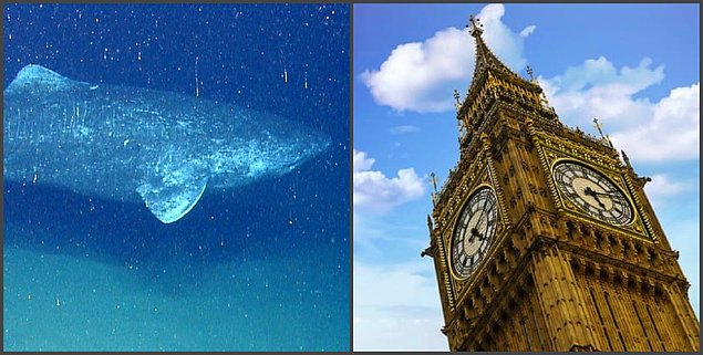 14 фактов, которые перевернут ваше представление о времени