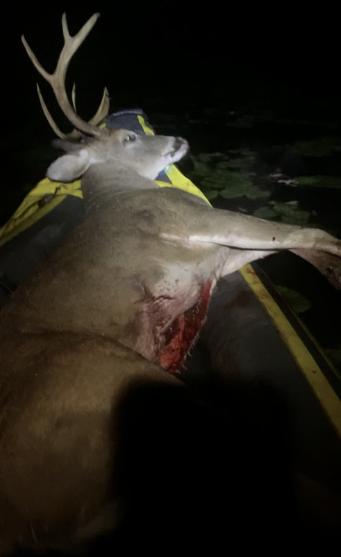 BB17DC4F-2394-4160-90A7-32EE9F670C0C