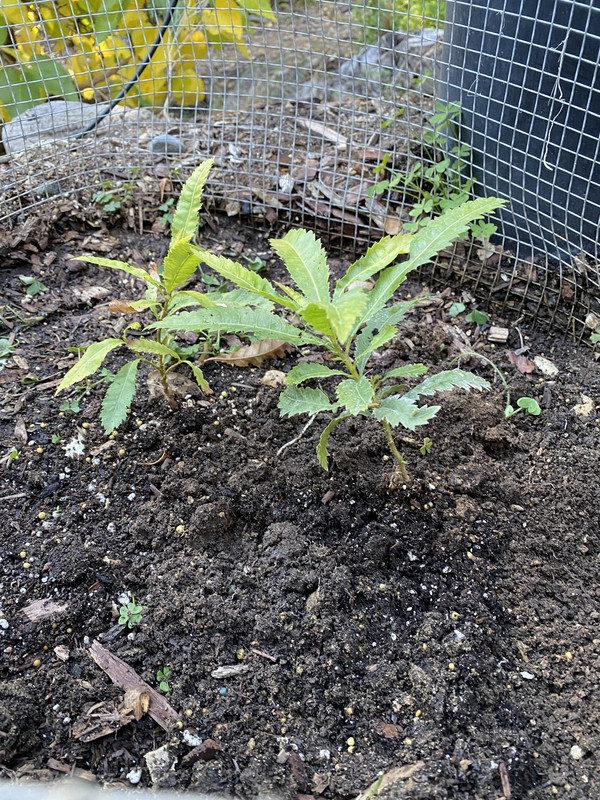 9A2AEF53-9F56-4FC9-A2AE-76F978FE496E