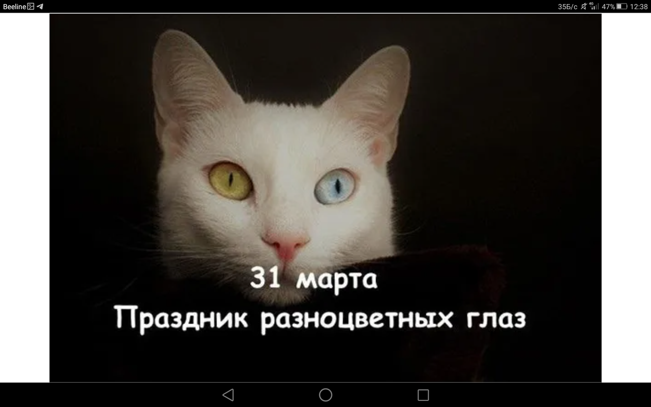 Screenshot_2023-03-31-12-38-39