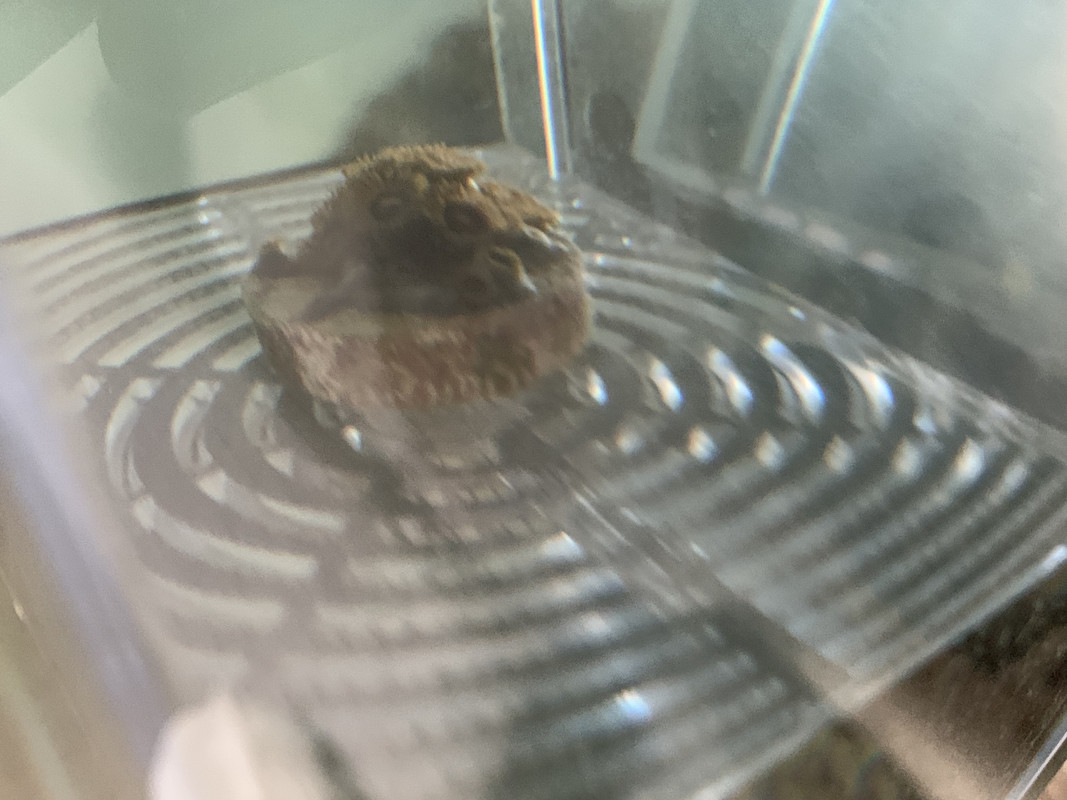 3A7E9073-111A-42A1-A619-15DAFBCB63DF