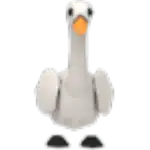 Swan