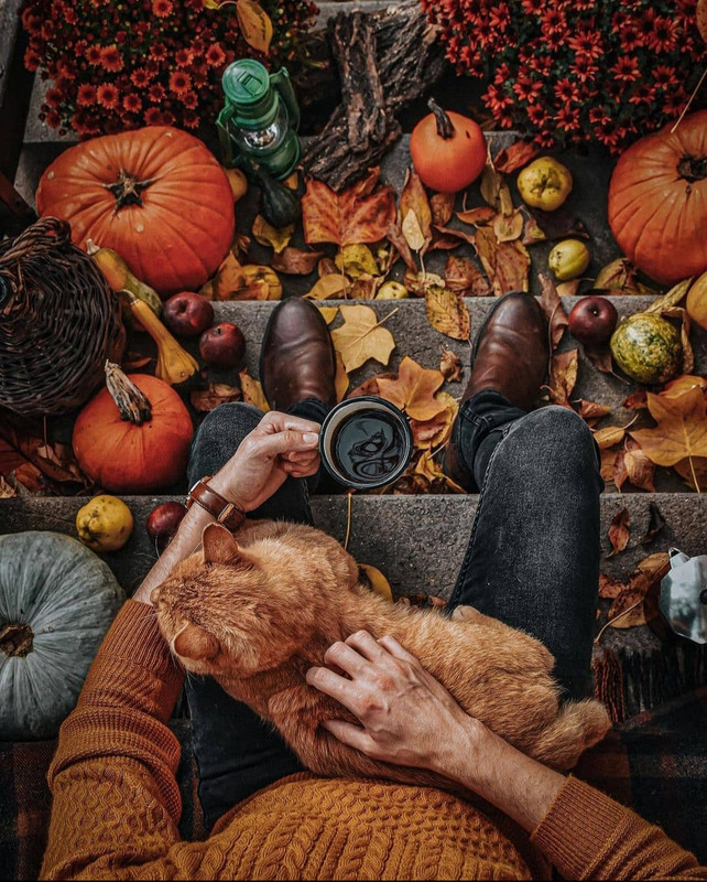 Screenshot_20231207_153710_Instagram