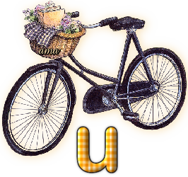 Bici Porta Flores  U